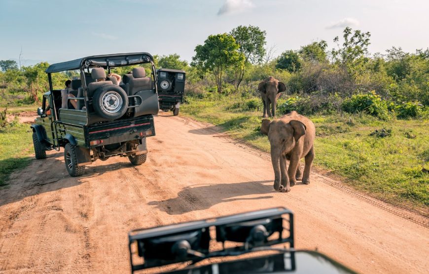 Ol Pejeta Conservancy Day Trip