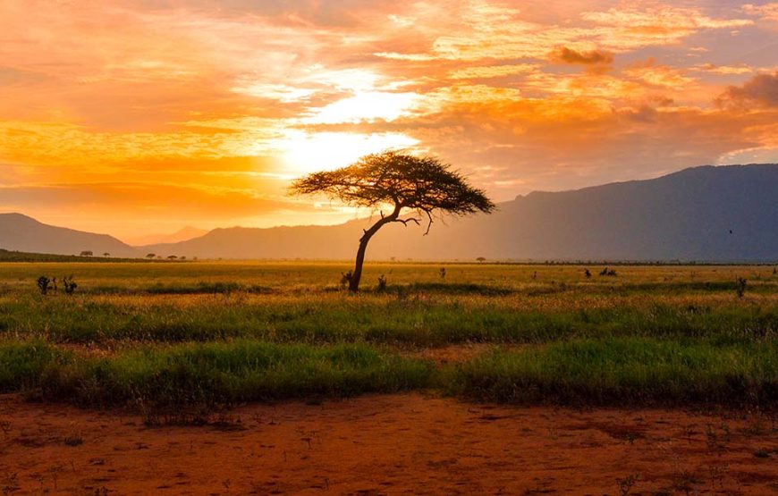 6 Day Aberdare-Maasai Mara-Tsavo Safari