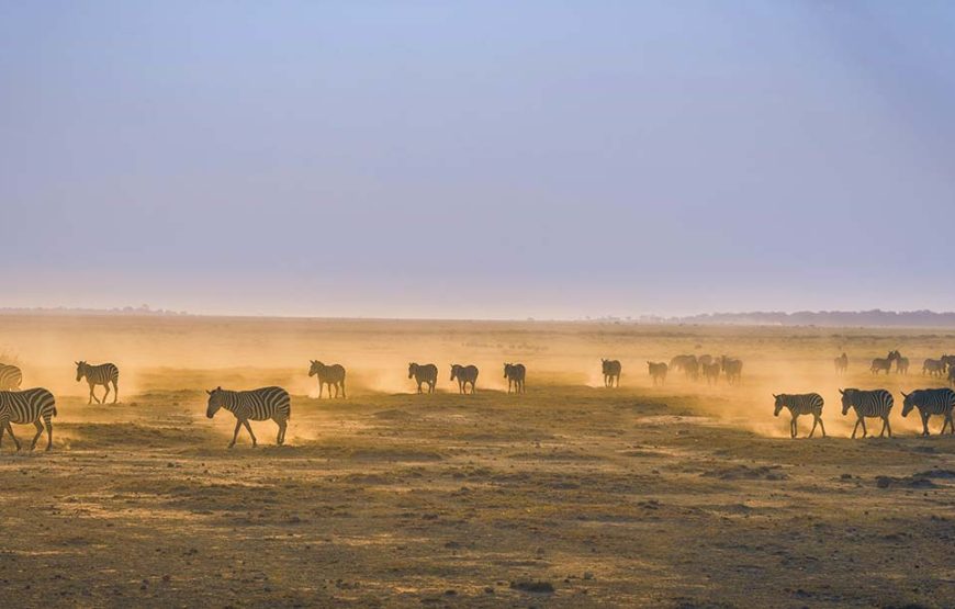 3 Day Amboseli Safari Tour Kenya | Luxury Amboseli Safari Package