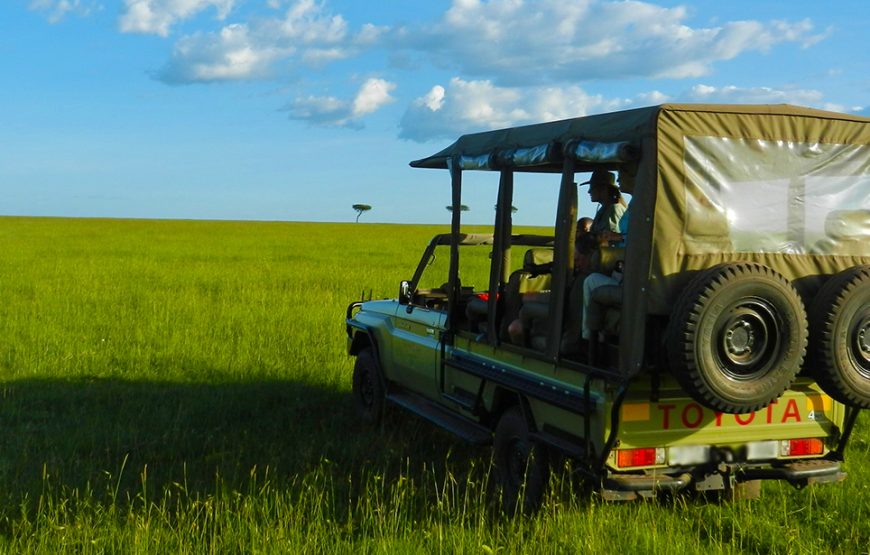 5 Day Amboseli-Lake Naivasha-Maasai Mara Safari