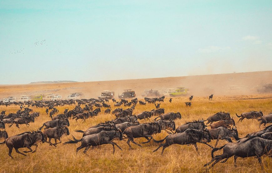 6 Day Aberdare-Maasai Mara-Tsavo Safari