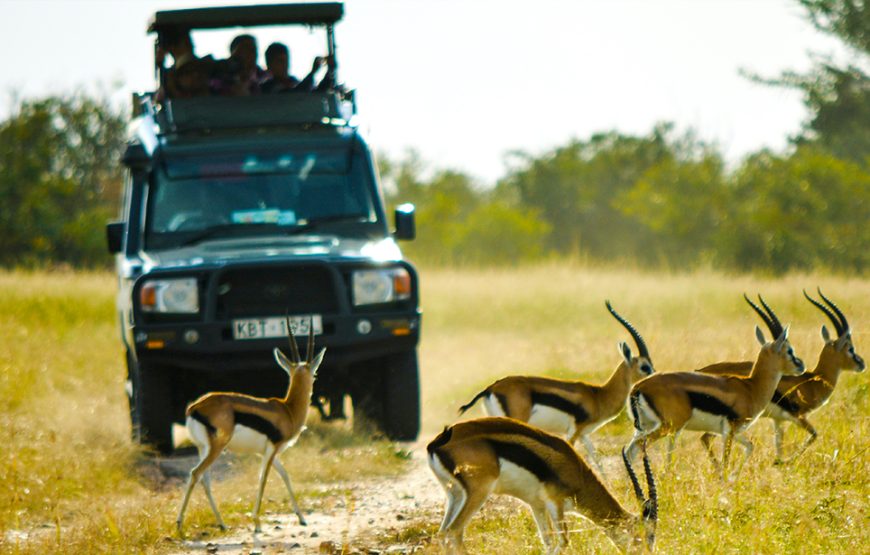 6 Day Aberdare-Maasai Mara-Tsavo Safari