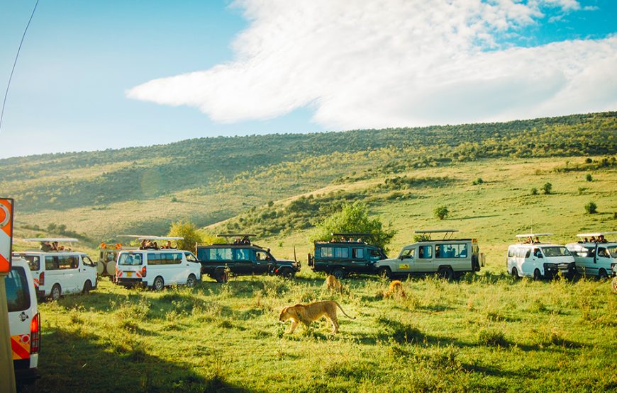 3 Day Amboseli Safari Tour Kenya | Luxury Amboseli Safari Package