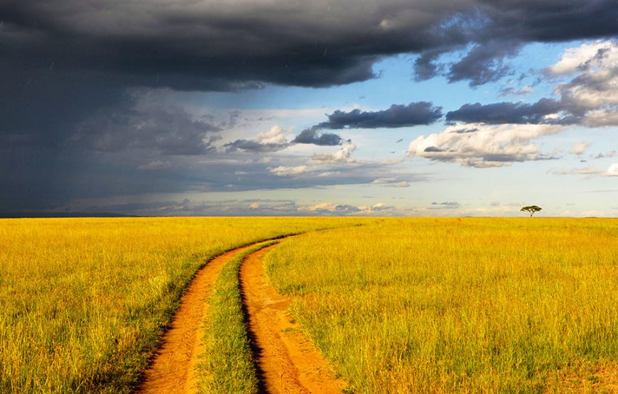 3 Day Amboseli Safari Tour Kenya | Luxury Amboseli Safari Package