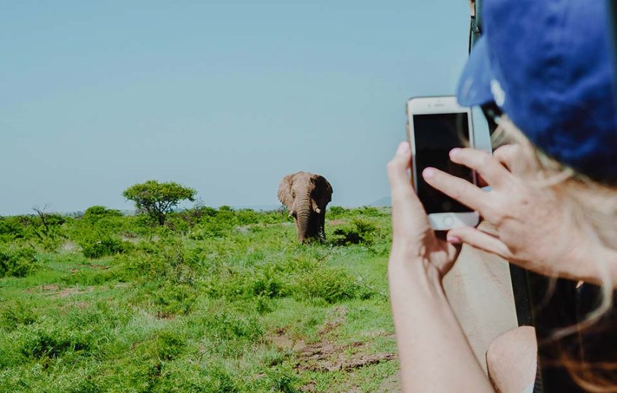 3 Day Amboseli Safari Tour Kenya | Luxury Amboseli Safari Package