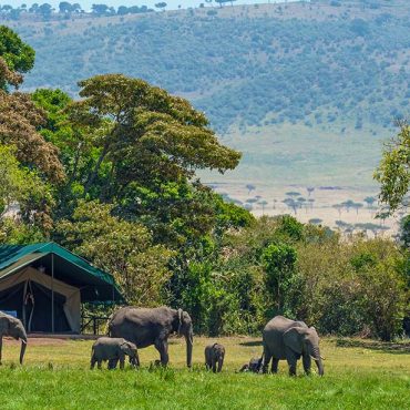 Maasai Mara