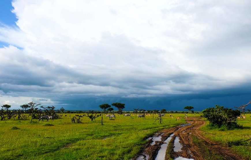 3 Day Amboseli Safari Tour Kenya | Luxury Amboseli Safari Package