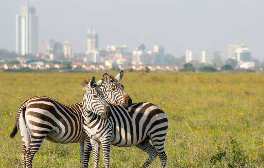 Nairobi National Park Day Trip