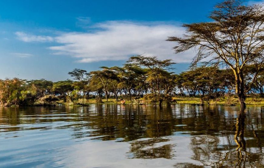 4 Day Masaai Mara-Nakuru Park Safari