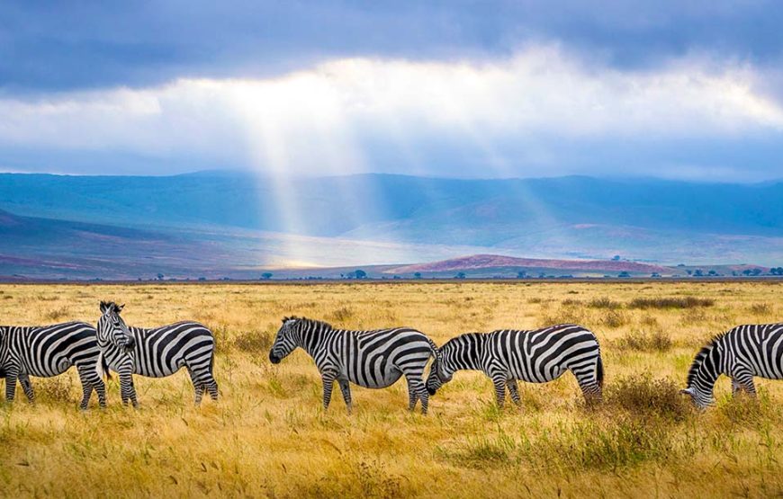 6 Day Masaai Mara-Lake Naivasha-Amboseli Safari