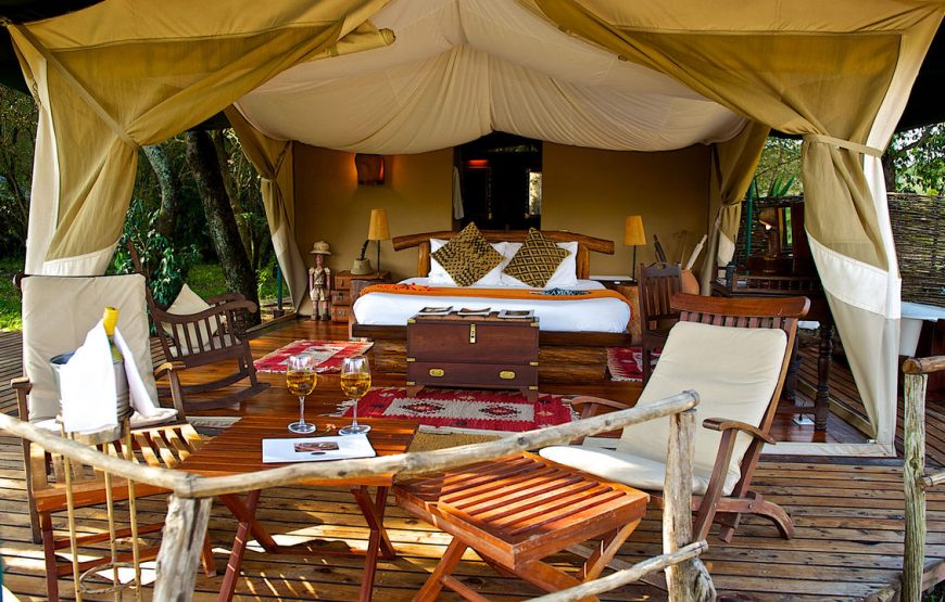 5 Days Maasai Mara Safari