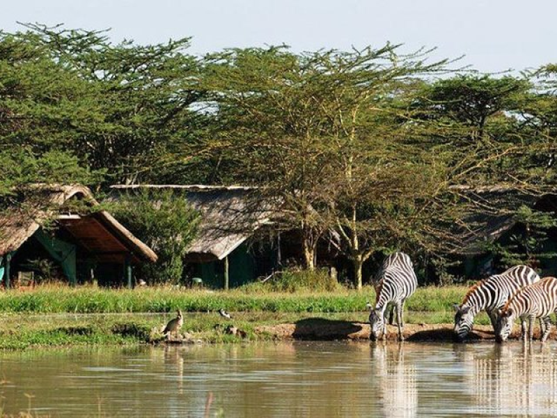 Lake Elementaita- Wildmont safaris