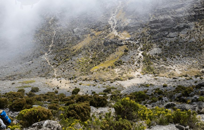 7 Day Mt. Kilimanjaro Trek-Lemosho Route