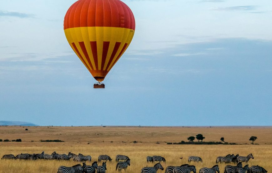5 Day Tangarire-Serengeti-Ngorongoro Safari