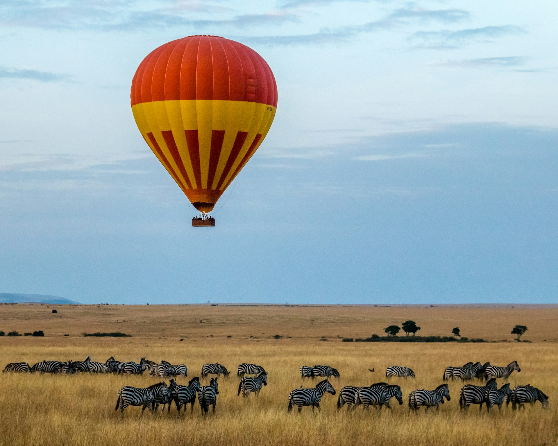 hot air baloon in serengeti Hot air balloon safari over zebras in Serengeti during the Lake Manyara Serengeti Ngorongoro Safari.