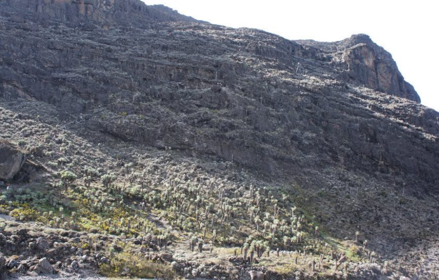 Mount Kilimanjaro Machame Route – 6 Days