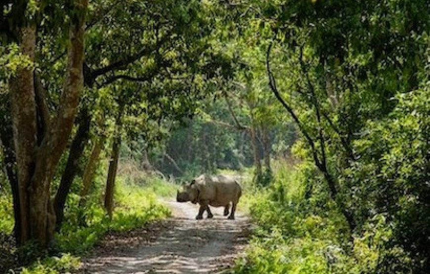 10 Day Samburu-Tsavo West Circuit Safari