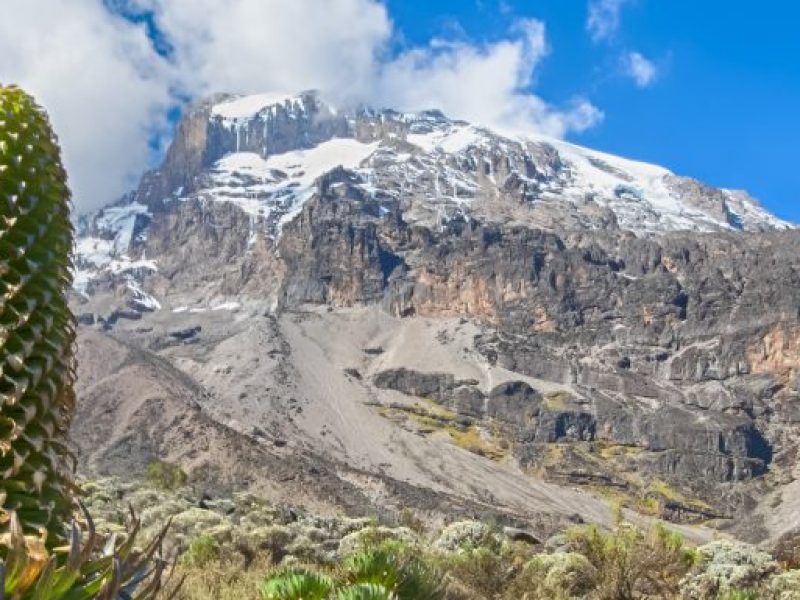 Beautiful views during the Mount Kilimanjaro Lemosho Route climb.