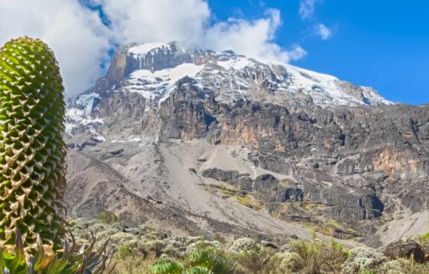 Mount Kilimanjaro Lemosho Route – 7 Days