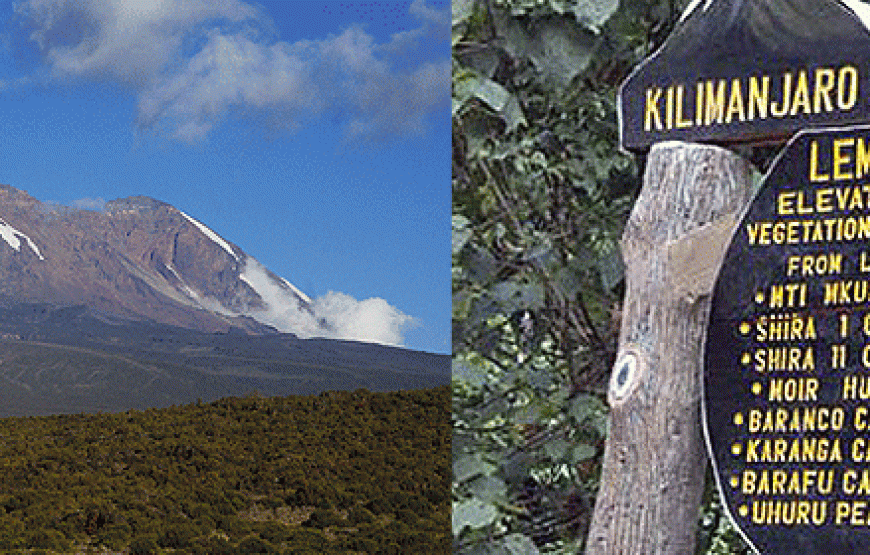 8 Day Mt. Kilimanjaro Trek-Lemosho Route