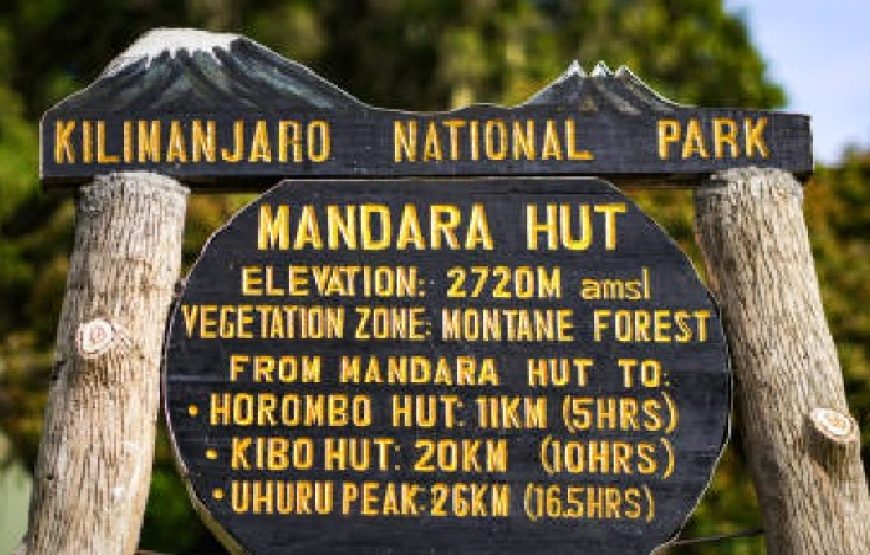 Mount Kilimanjaro Marangu Route – 5 Day Trek