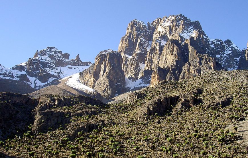 8 Day Mt. Kilimanjaro Trek-Lemosho Route