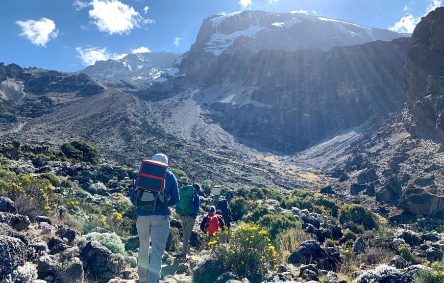 8 Day Mt. Kilimanjaro Trek-Lemosho Route