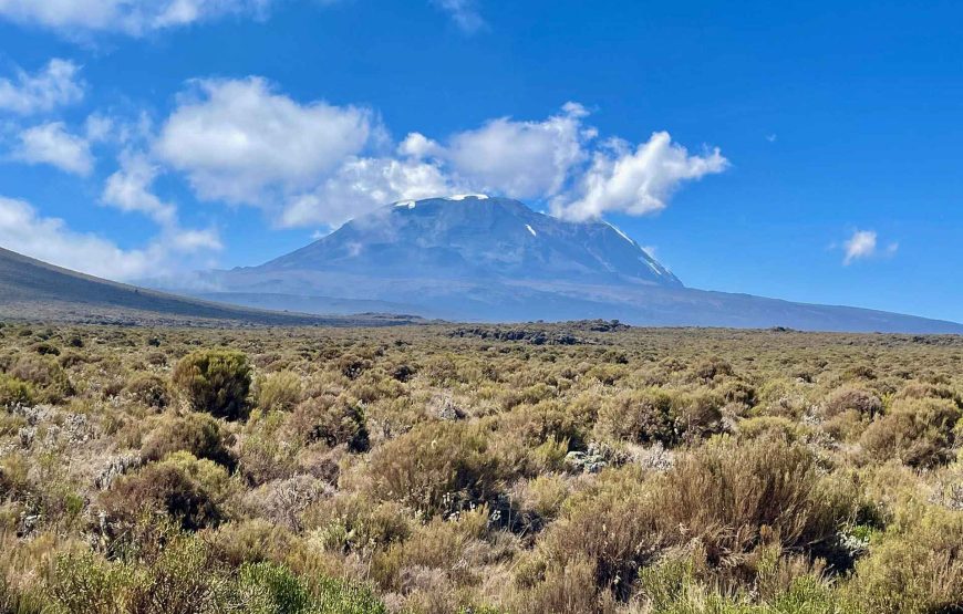 Mount Kilimanjaro Lemosho Route – 7 Days