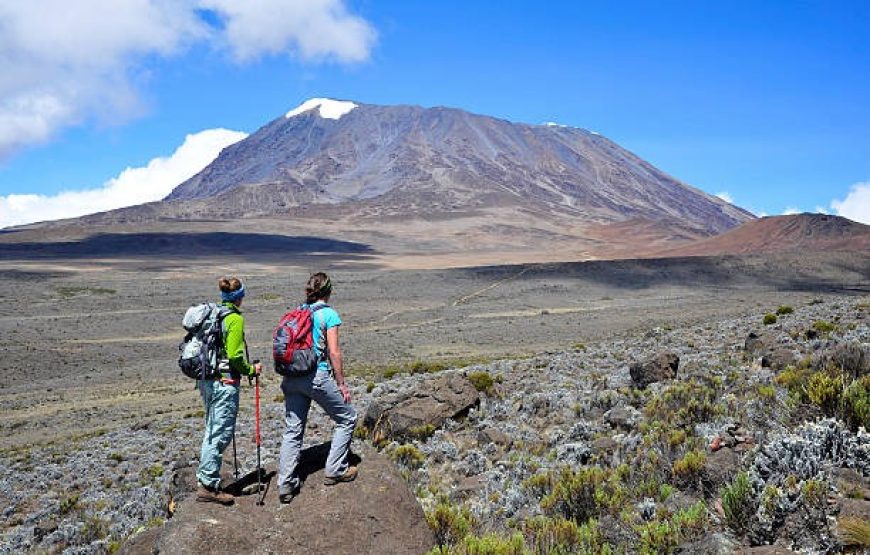 Mount Kilimanjaro Lemosho Route – 7 Days