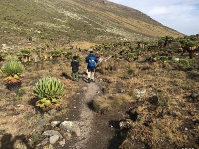 View of Mount Kenya Chogoria Sirimon Route alpine landscape