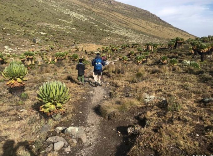 View of Mount Kenya Chogoria Sirimon Route alpine landscape