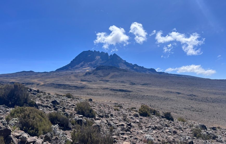 4 Day Mt. Kenya Hike-Sirimon Route