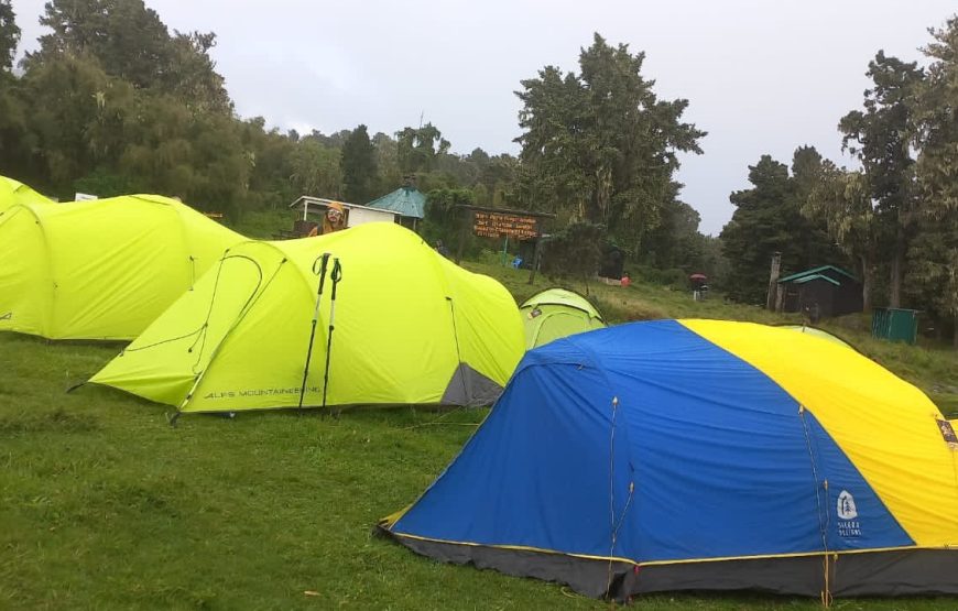 3 Day Mt. Kenya Hike-Sirimon Route