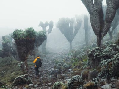 scenic landscapes encountered in the 4 day mt kenya hike
