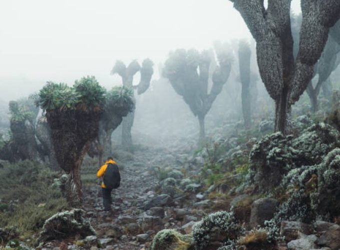 scenic landscapes encountered in the 4 day mt kenya hike