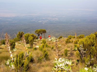 View of Mount Kenya Chogoria Sirimon Route alpine landscape
