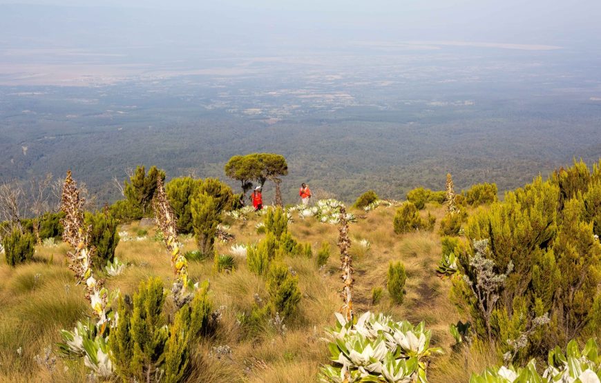 4 Day Mt. Kenya Hike- Chogoria Sirimon Route