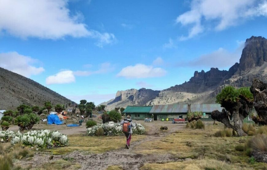 3 Day Mt. Kenya Hike-Sirimon Route