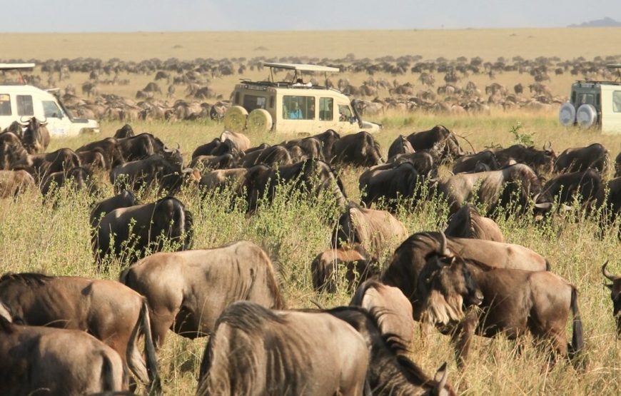6 Day Lake Manyara-Serengeti-Ngorongoro Tour