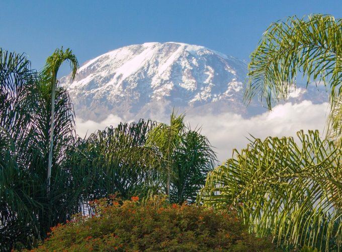 6 Day Mt. Kilimanjaro Trek-Machame Route