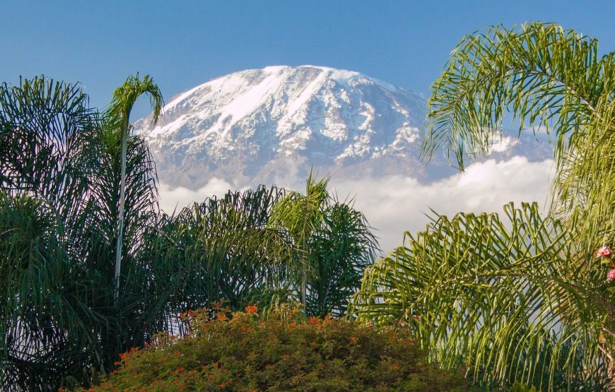 6 Day Mt. Kilimanjaro Trek-Machame Route