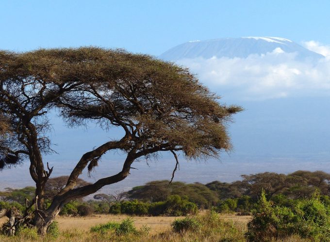 8 Day Mt. Kilimanjaro Trek-Lemosho Route