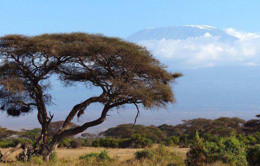 6 Day Mt. Kilimanjaro Trek-Machame Route