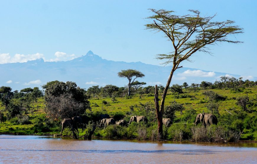 5 Day Mt. Kenya Hike-Narumoru Chogoria Route