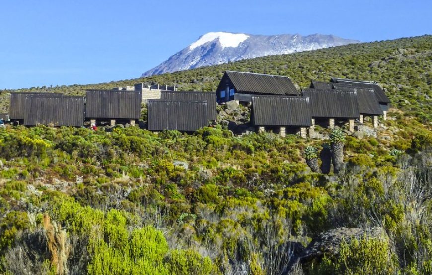 Mount Kilimanjaro Marangu Route – 5 Day Trek