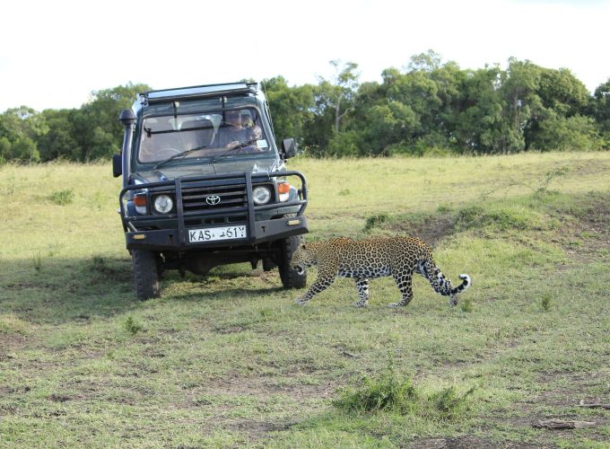 7 Day Samburu-Lake Nakuru-Maasai Mara Safari