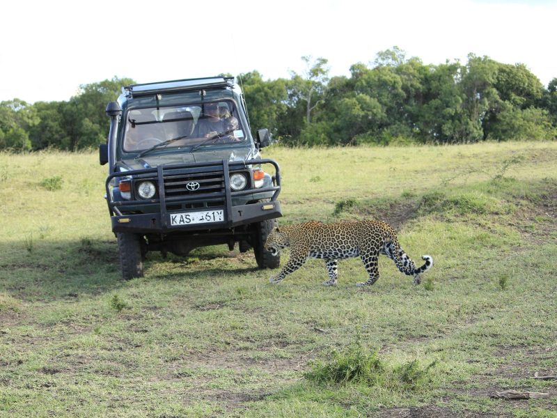7 Day Samburu-Lake Nakuru-Maasai Mara Safari