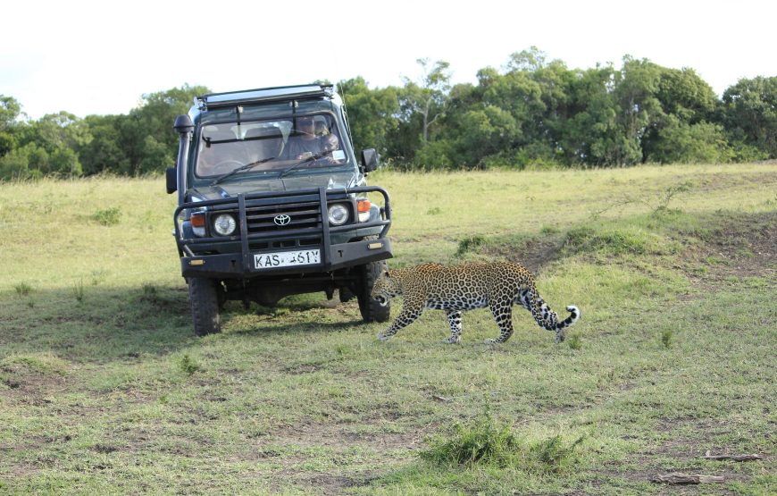7 Day Samburu-Lake Nakuru-Maasai Mara Safari