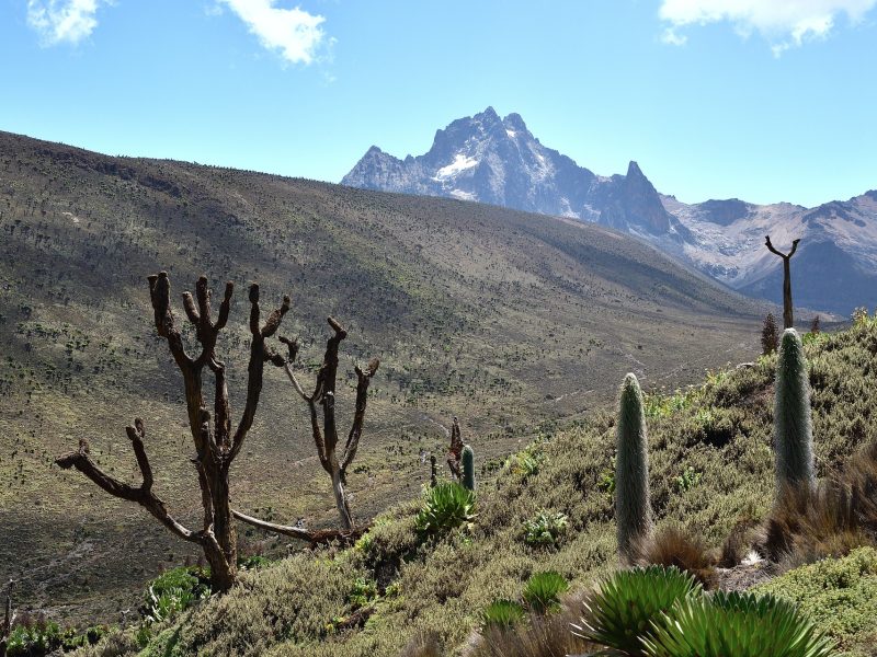 5 Day Mt. Kenya Hike-Sirimon-Chogoria Route