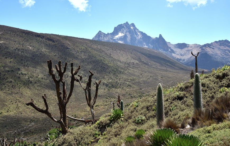 5 Day Mt. Kenya Hike-Sirimon-Chogoria Route